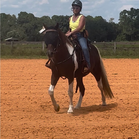 Meet your Posher, Debbie - Picture 1 of 2